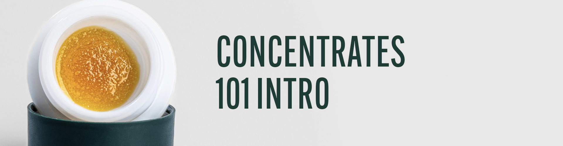 Grassroots Concentrates 101 Intro