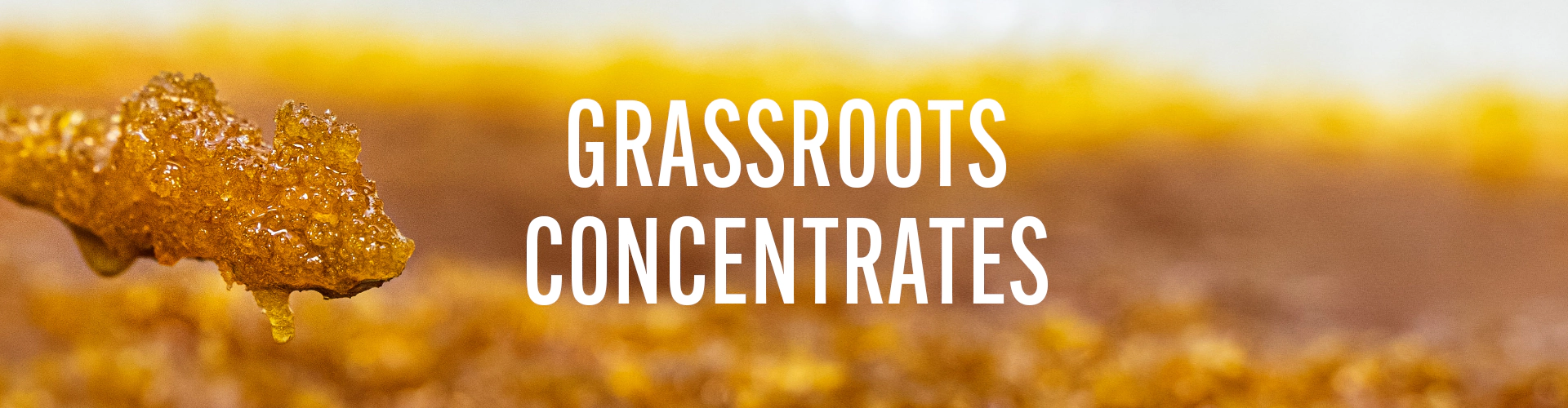 Grassroots Concentrates