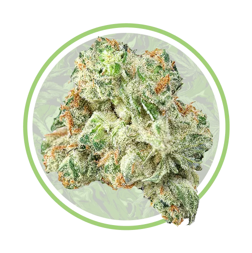 Delphi Diesel