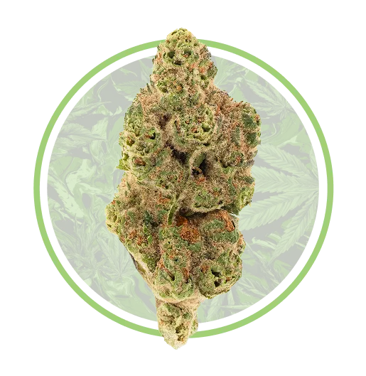 Moonbeam Gelato